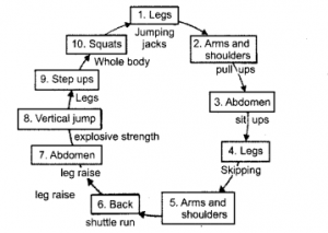 Circuit Training Method: Meaning, Characteristics, Examples, Aims, Advantages, How to increase load in Circuit Training
