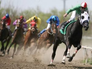 Horse Racing: History| Rules| Horse Bet| Object| Equipments