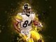 Antonio Brown: Biography| Wife| Net Worth | Stats & More