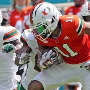 Miami Hurricanes: Cat| Rambo| Vs Michigan state| Cat Rescue