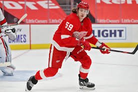 Tyler Bertuzzi: Todd| Wife| Salary| Contract| Surgery...