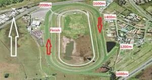 Kembla Grange: Race Results today| Race tips| Bunnings