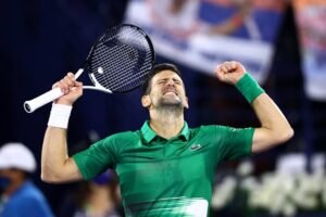 Novak Djokovic: Followers| Davis Cup| Ranking