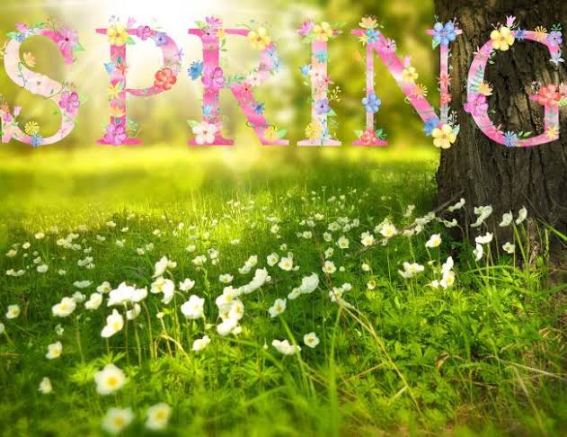 Spring 2022 Happy First Day Of Color Street What Day Is Sportsjone