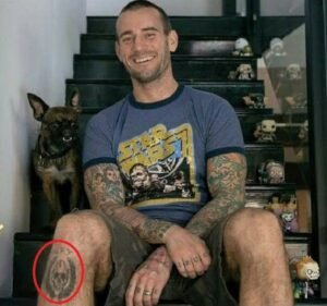 Cm Punk: Leg tattoo| Merchandise| Injury