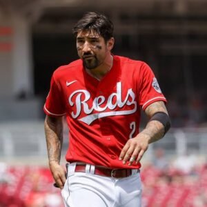 Nick Castellanos: Baby| Wife| Hit by pitch| Contract