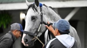 Kentucky Derby 2022: Horses odds and predictions| Packages