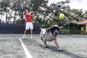 John Isner: Longest match| Ranking 2022| Dog