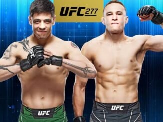 Brandon Moreno: Win loss record| Record sherdog| Amateur record