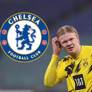 Erling Haaland: Goal record| Number of goals| Move to chelsea