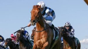 Caulfield Cup: Barrier draw| Cancelled| Draw| Field| Form