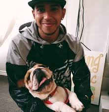 Lewis Hamilton dog: Coco| Name| Breed| Diet| Age| Silverstone