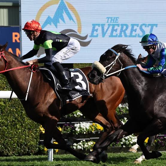 The everest horse race Winners Tips Predictions Results sportsjone