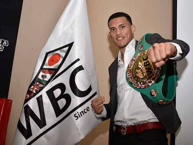 Anthony David Benavidez (born December 17, 1996) is an American professional boxer. 