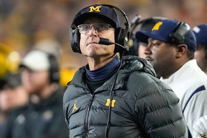 Jim Harbaugh: Has been suspended| What did say to jim schwartz