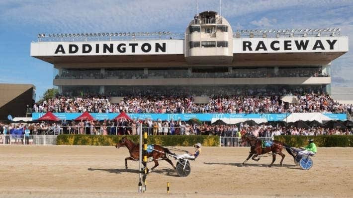 NZ Trotting cup: 2023 results| Who won| Winners