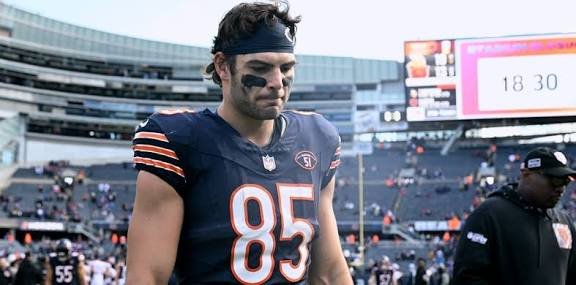 Cole Kmet: Projections| Age| Is playing today| Injury Update