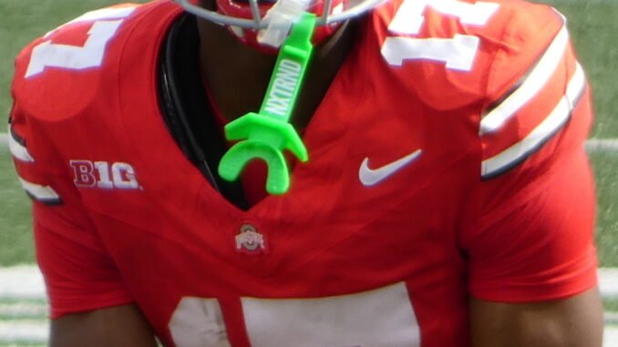 Carnell_Tate_2024_(cropped)