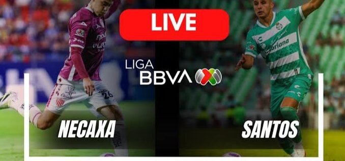 images - 2025-11-01T125326.578